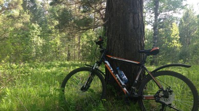 Велосипедные прогулки по лесным дорожкам!